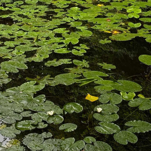 Meet your Posher, Kayla - Picture 1 of 1